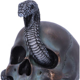 Serpentine Fate Gothic Snake Skull Ornament Nemesis Now Eye Socket