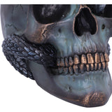 Jaw Serpentine Fate Gothic Snake Skull Ornament Nemesis Now