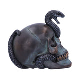 Side Serpentine Fate Gothic Snake Skull Ornament Nemesis Now