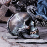 Display idea Serpentine Fate Gothic Snake Skull Ornament Nemesis Now