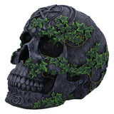 Side Aged Pentagram Skull Figurine Ornament Nemesis Now B7366A26 