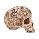 Side of Apothecary Gothic Skull Figurine Nemesis Now B7537B26