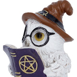 Cornelius Owl Figurine with Hat and Book Nemesis Now U7417A26 Top