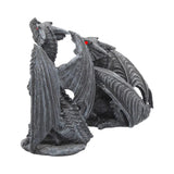 Set of 2 Dark Fury Pair of Black Obsidian Dragon Figurines Nemesis Now C0797C4