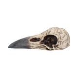 Side on Edgar's Raven Skull Figurine Edgar Allen Poe Ornament Nemesis Now B1986F6