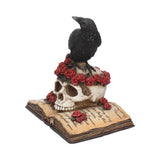 Front Side Heartaches Reflection Raven Skull Rose Gothic Skull Ornament Nemesis Now C0748C4