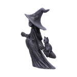 Side Little Souls Beam Witch Black Cat on Broom Figurine  Nemesis Now B6937C24 