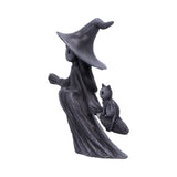Side Little Souls Beam Witch Black Cat on Broom Figurine  Nemesis Now B6937C24 