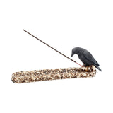 Black Raven Perched On A Skull Incense Stick Holder 25cm Nemesis Now NEM2836 Side