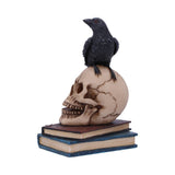 Raven's Spell Raven Perches on Human Cranium Figurine Nemesis Now
