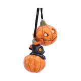 Side Whisper Wood Set of 2 Pumpkin and Patch Halloween Hanging Ornament