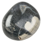Silver Leaf Jasper Polished Tumblestone Tumble Stone Medium
