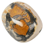 Silver Leaf Jasper Polished Tumblestone Tumble Stone Medium
