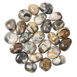 Selection from Silver Leaf Jasper Polished Tumblestone Tumble Stone