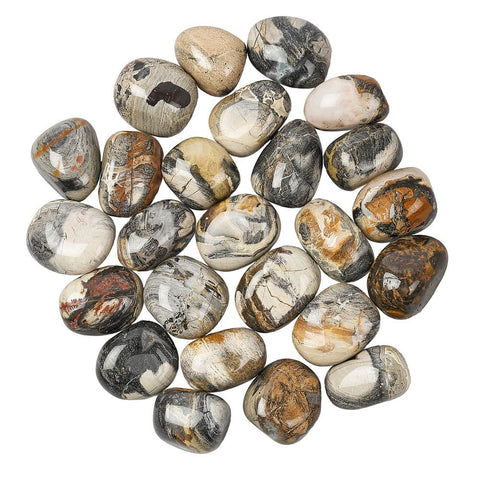 Selection from Silver Leaf Jasper Polished Tumblestone Tumble Stone