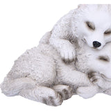 Sleepy Pups Wolf Cubs Figurine Nemesis Now U6733A24 Close Up