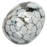Medium Tumble Stone Snowflake Obsidian Polished Tumblestone Example