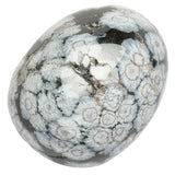 Medium Tumble Stone Snowflake Obsidian Polished Tumblestone Example