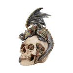 Steampunk Dragon Skull Steel Wing Nemesis Now U3822K8