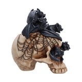 Web side Swarm of Shadows Bats on Skull Gothic Figurine Nemesis Now U7848C26