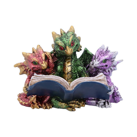 Tales of Fire Reading Book Dragon Figurine Nemesis Now U5026R0