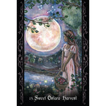 The Solitary Witch Oracle Cards Lucy Cavendish