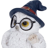 Top Archimedes Owl Figurine with Scroll Nemesis Now U7416A26