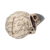 Top Side on Edgar's Raven Skull Figurine Edgar Allen Poe Ornament Nemesis Now B1986F6