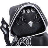 Head Featheros Bird Cult Cuties Figurine Nemesis Now B7737C26