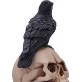 Top Perched 