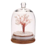 White Jade Gemstone Tree of Life in Glass Dome