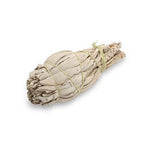 Mini Californian White Sage Smudge Stick Bulb at Mystical and Magical Halifax