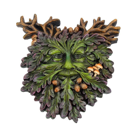 Nemesis Now Autumn's Reflection Green Man Tree Spirit Wall Plaque Hanging from Mystical and Magical Halifax D3564J7