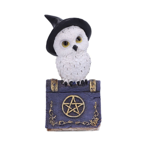 Avian Spell Owl on Blue Book with Pentacle Figurine Nemesis Now U5720U1