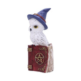 Avian Spell Owl on Red Book with Pentacle Figurine at Mystical and Magical Halifax UK