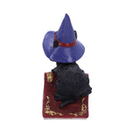 Hocus Small Witches Familiar Black Cat and Spellbook Figurine back