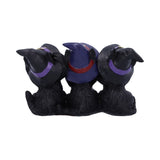 Three Wise Black Witches Cats See No Hear No Speak No Evil