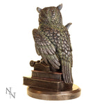 back of Nemesis Now Ulula Wise Owl Figurine 