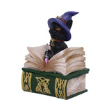 Binx Witches Familiar Small Black Cat and Spellbook Figurine Box