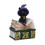 Binx Witches Familiar Small Black Cat and Spellbook Figurine Box U5282S0