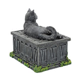 Fortune's Watcher Tarot Box Storage 17cm Nemesis Now