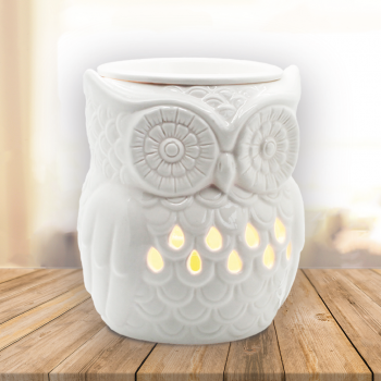 Electric owl wax burner deals