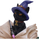 Binx Witches Familiar Small Black Cat and Spellbook Figurine Box
