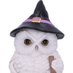 Snowy Magic White Owl in a Witch’s Hat and Broomstick