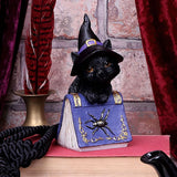 display Pocus Small Witches Familiar Black Cat and Spellbook Figurine