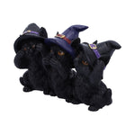 Three Wise Black Witches Cats See No Hear No Speak No Evil