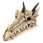 Draco Dragon Skull Incense Ashcatcher Holder at Mystical and Magical Halifax UK Nemesis Now NEM3993