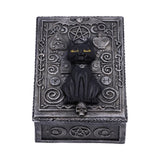 Familiar Spell Black Cat Sigil Trinket Tarot Box  Nemesis Now U5476T1
