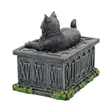 Fortune's Watcher Tarot Box Storage 17cm Nemesis Now