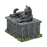 Fortune's Watcher Tarot Box Storage 17cm Nemesis Now